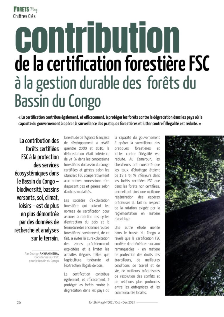 La protection des forêts : un impératif pour le climat