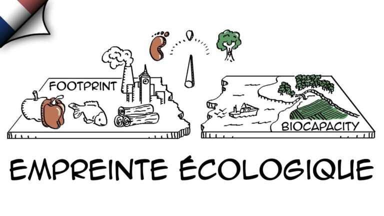 Comprendre l’Empreinte Écologique : Définition et Impact sur Notre Planète