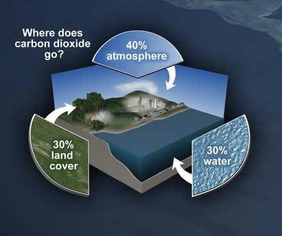 Comprendre le CO2 : Origine et Impact sur l’Environnement